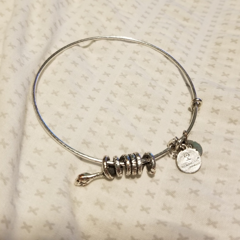 Alex and Ani Serpent Bracelet